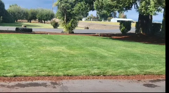 Professional yard cleanup service in Albany, OR by Hernández Lawn Service