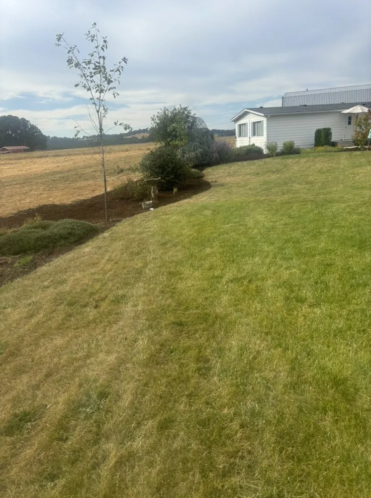 Reliable yard maintenance for homes across Albany, OR - Hernández Lawn Service