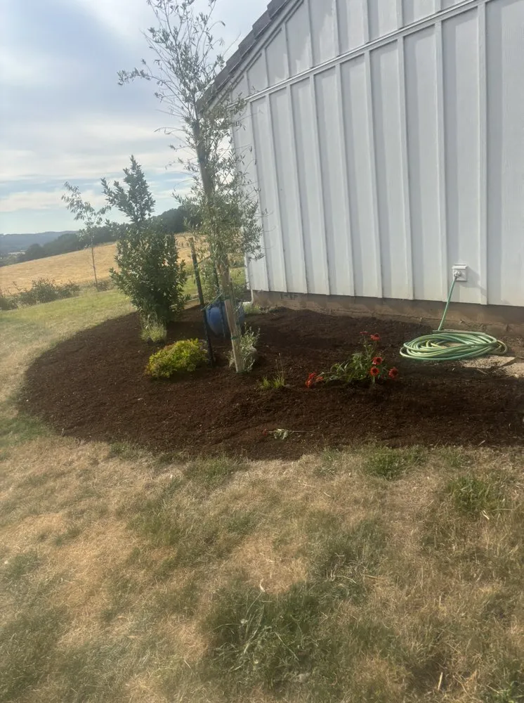 Local yard cleanup service experts serving Albany, OR - Hernández Lawn Service