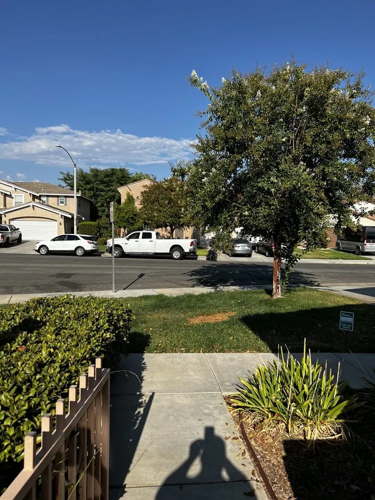 Expert yard cleanup service experts serving Riverside, CA - Hernández Tree Services