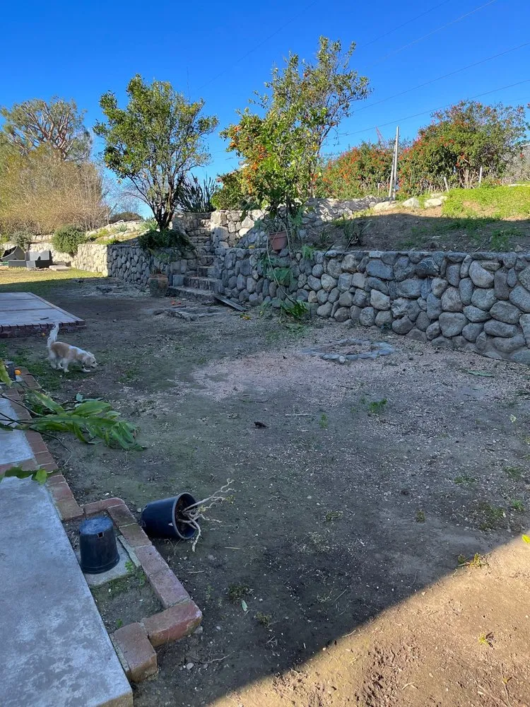 Affordable lawn care service near you across Riverside, CA - Hernández Tree Services