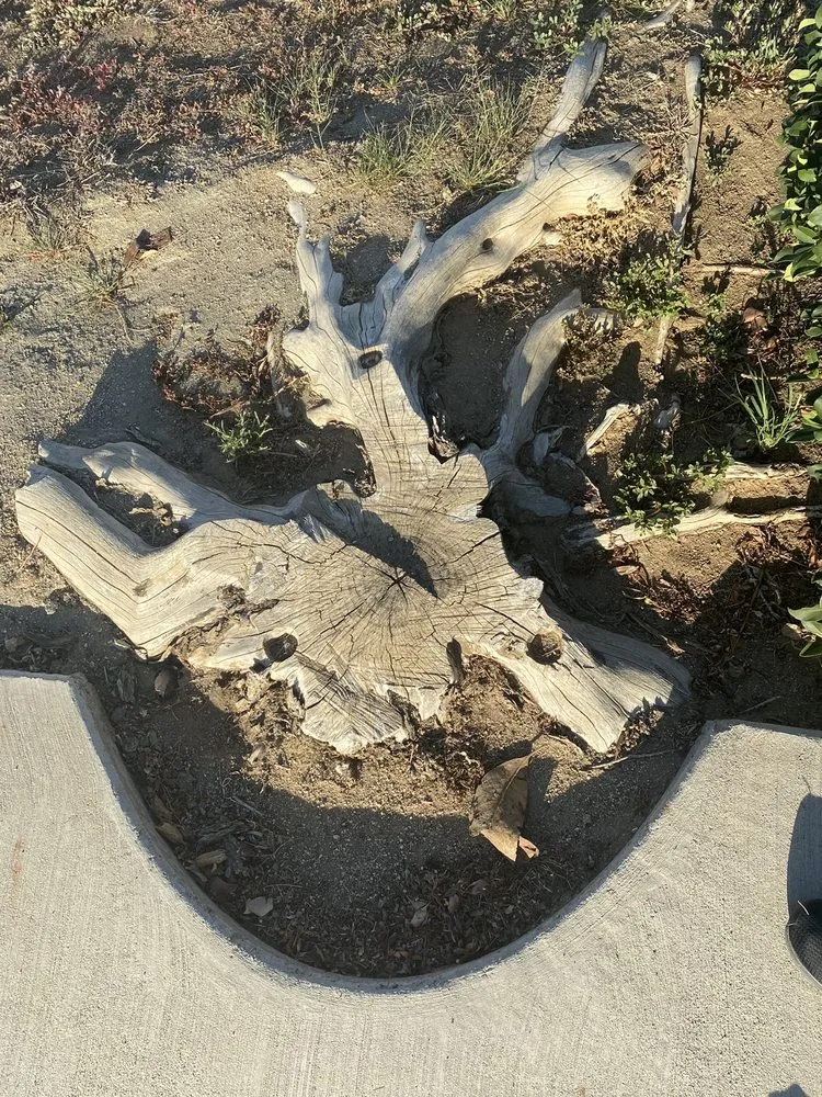 Local landscaping services in Riverside, CA - Hernández Tree Services