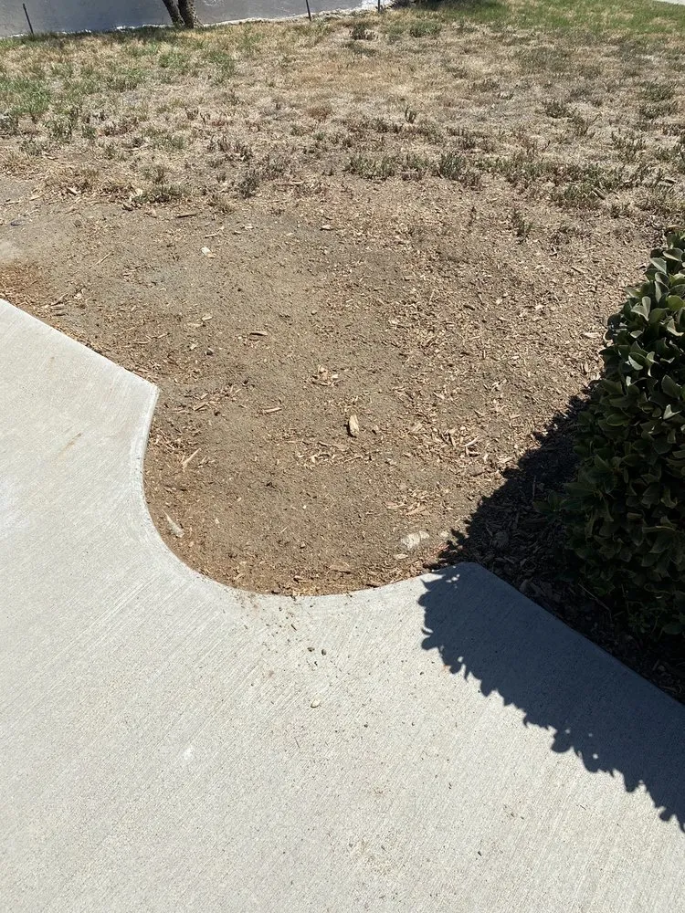 Trusted landscaping services for homes in Riverside, CA by Hernández Tree Services