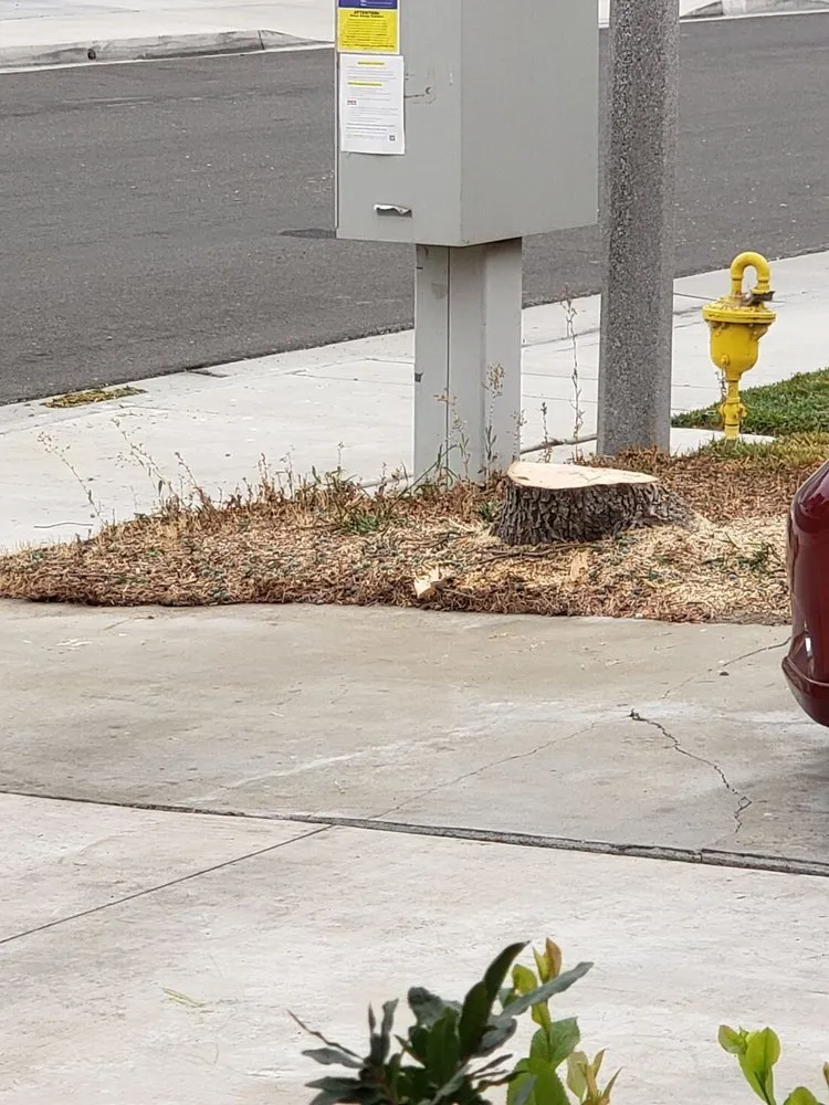 Expert outdoor landscaping in Riverside, CA by Hernández Tree Services