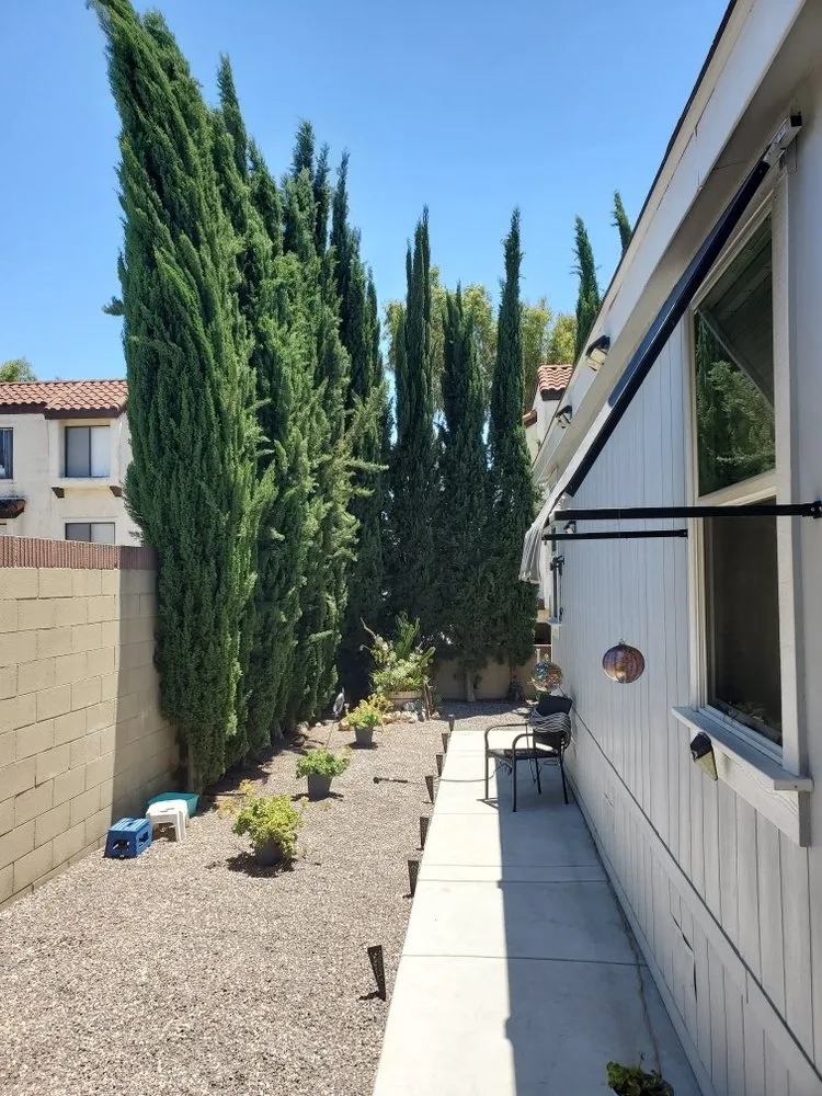 Expert lawn care service in Riverside, CA - Hernández Tree Services