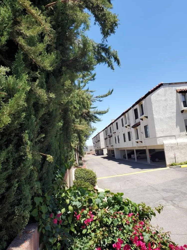 Trusted lawn mowing service in Riverside, CA by Hernández Tree Services