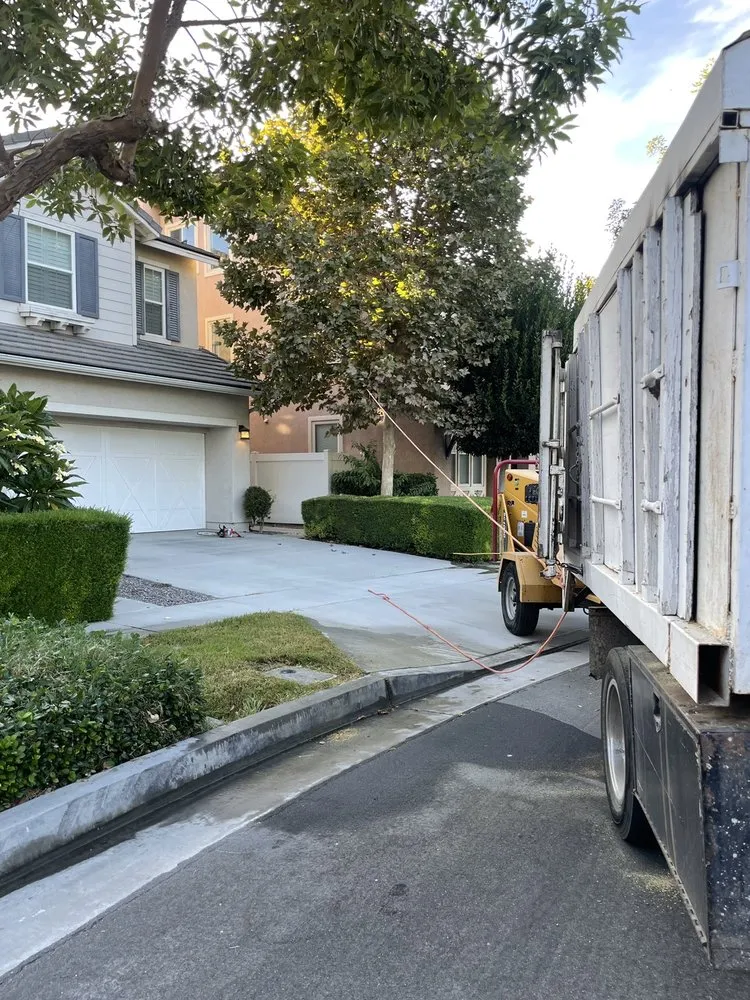 Reliable yard maintenance in Riverside, CA by Hernández Tree Services