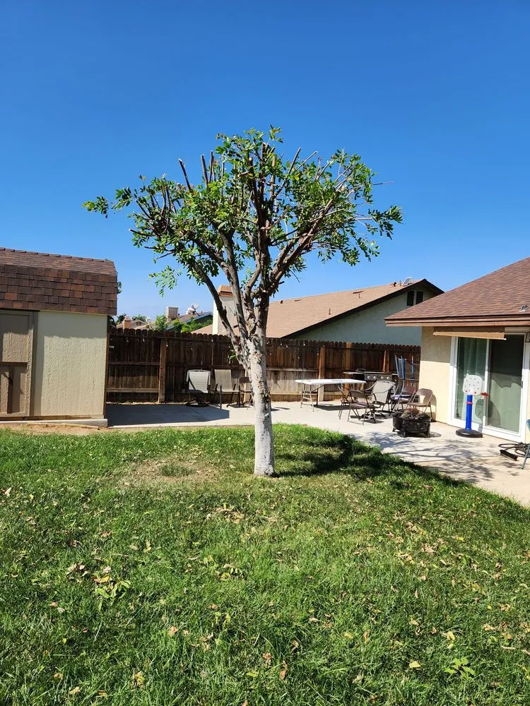 Expert landscaping services in Riverside, CA - Hernández Tree Services