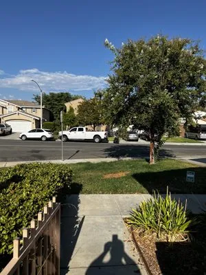 Hernández Tree Services Logo