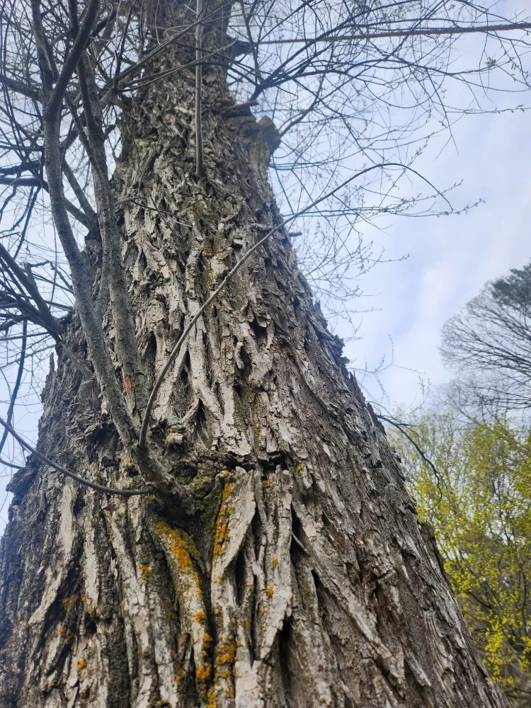 Expert landscape installation for beautiful yards in Gladwin, MI by HERO LAND MANAGEMENT