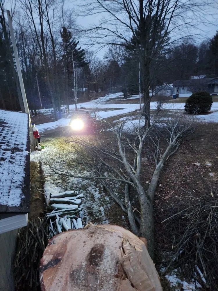 Custom yard cleanup service for residential properties across Gladwin, MI - HERO LAND MANAGEMENT