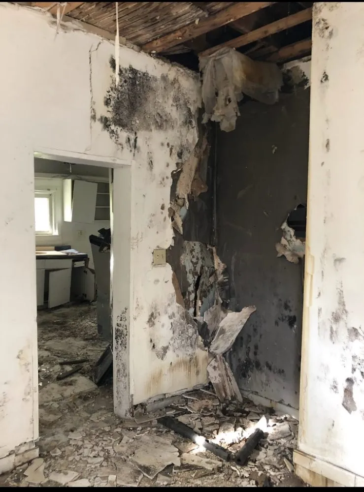 Expert garden landscaping experts serving Severn, MD - Hero Strong Achievers