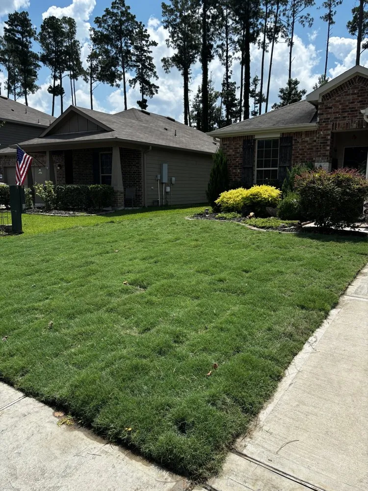 Affordable yard maintenance in Magnolia, TX by Heroes Lawn Care