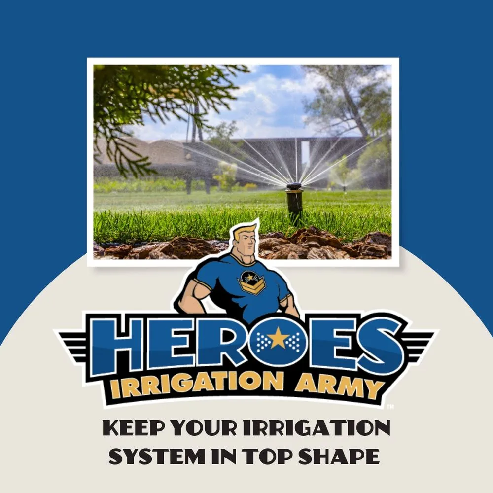 Professional landscape design experts serving Mesa, AZ - Heroes Lawn Care