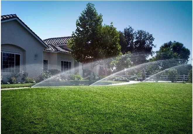 Custom yard cleanup service in Houston, TX by Heroes Lawn Care of Central West Houston