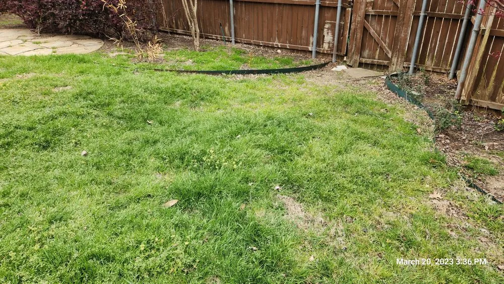 Custom garden landscaping for year-round maintenance across Frisco, TX - Heroes Lawn Care of Frisco