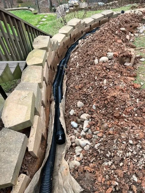 Expert yard maintenance in Charlotte, NC - Heroes Lawn Care Of Southeast Charlotte