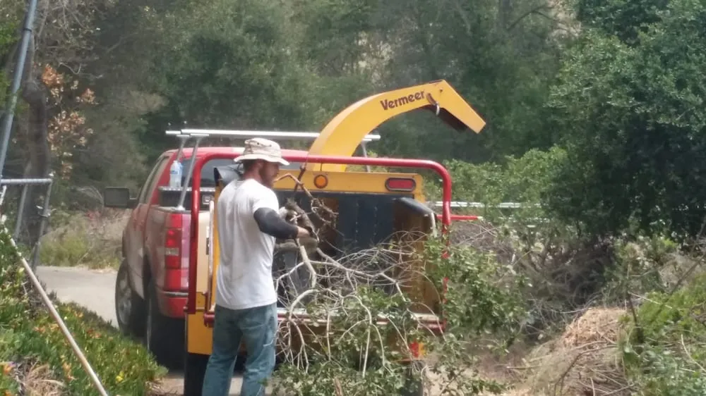 Affordable yard cleanup service in San Luis Obispo, CA - Heroes2Hire