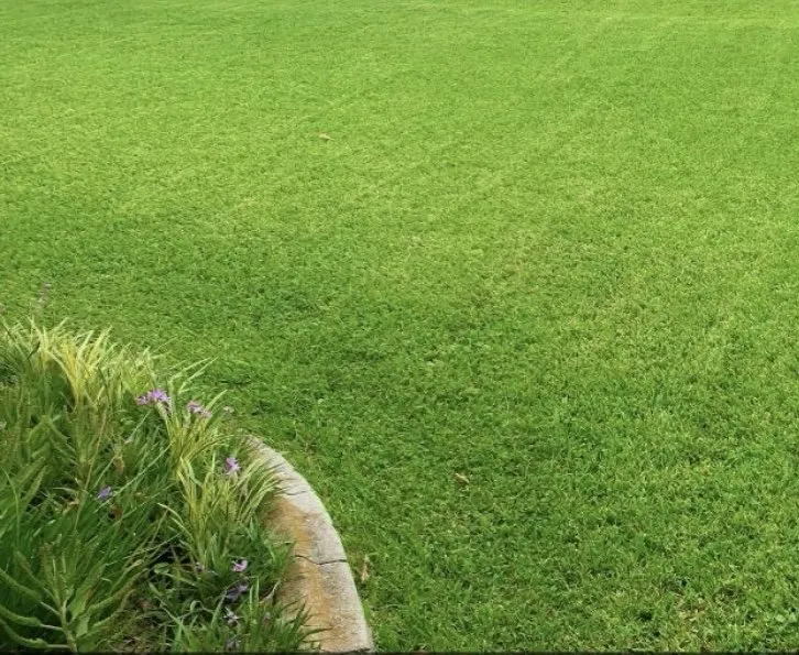 Top-rated yard maintenance for residential properties across New Orleans, LA - Heroic Lawns