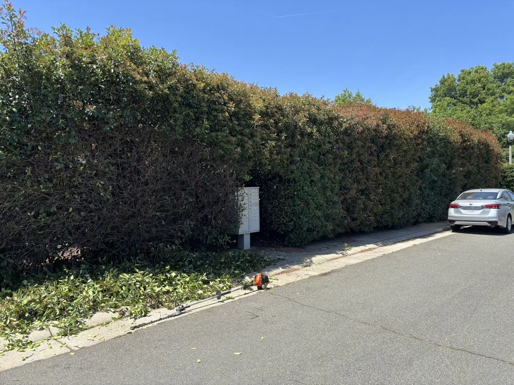 Affordable landscaping services experts serving Lincoln, CA - Heroic Yards