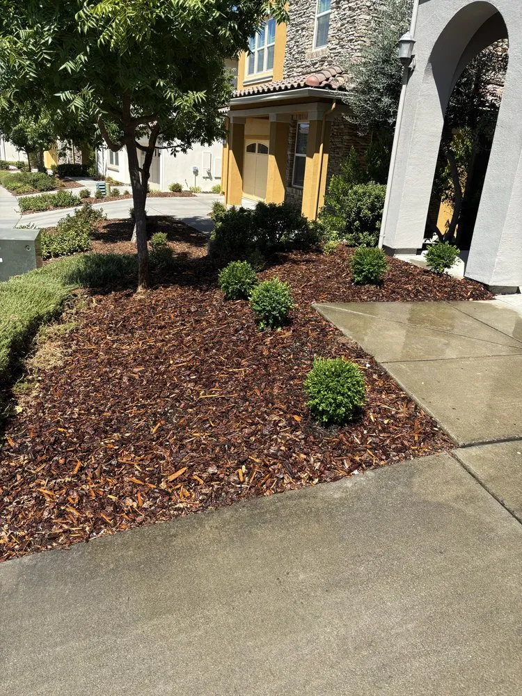Affordable landscape design in Lincoln, CA by Heroic Yards