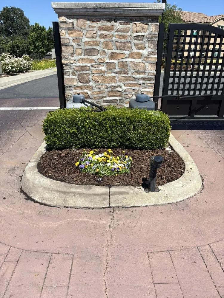 Local landscape design in Lincoln, CA - Heroic Yards