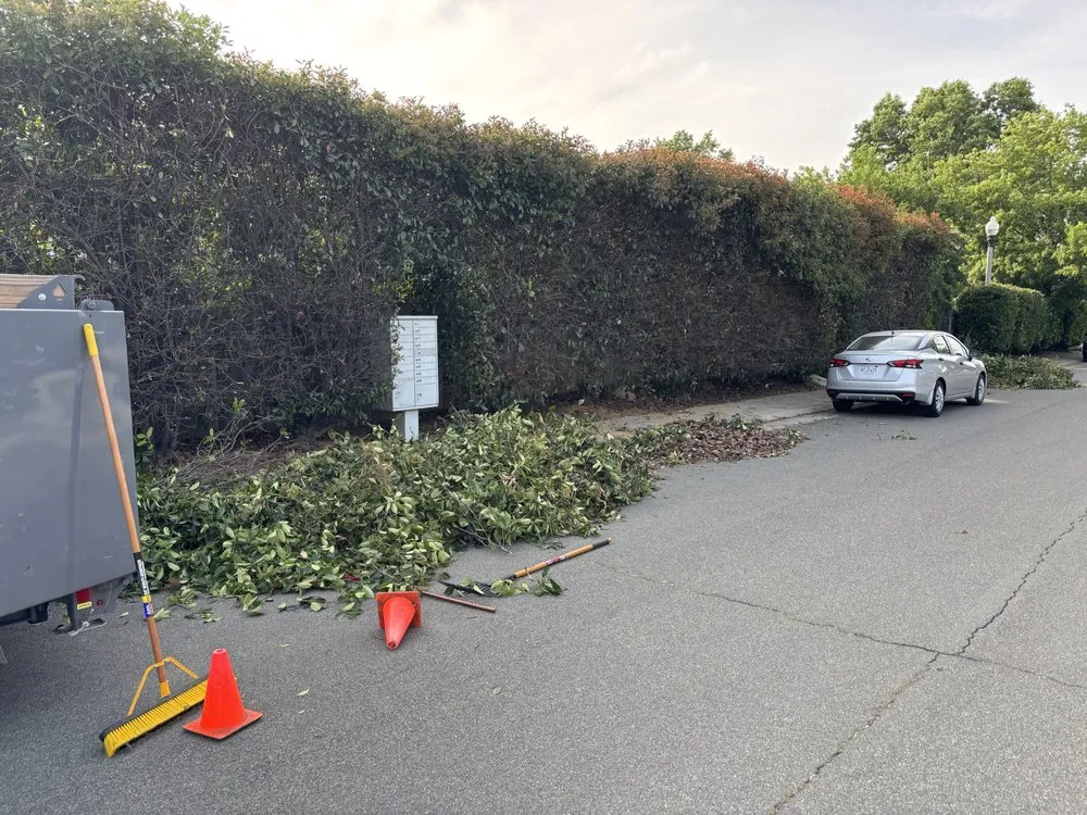 Top-rated landscape design for beautiful yards in Lincoln, CA by Heroic Yards