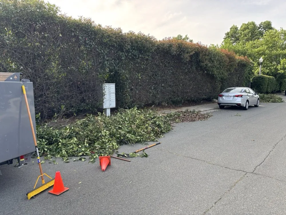 Affordable landscaping services for homes in Lincoln, CA by Heroic Yards