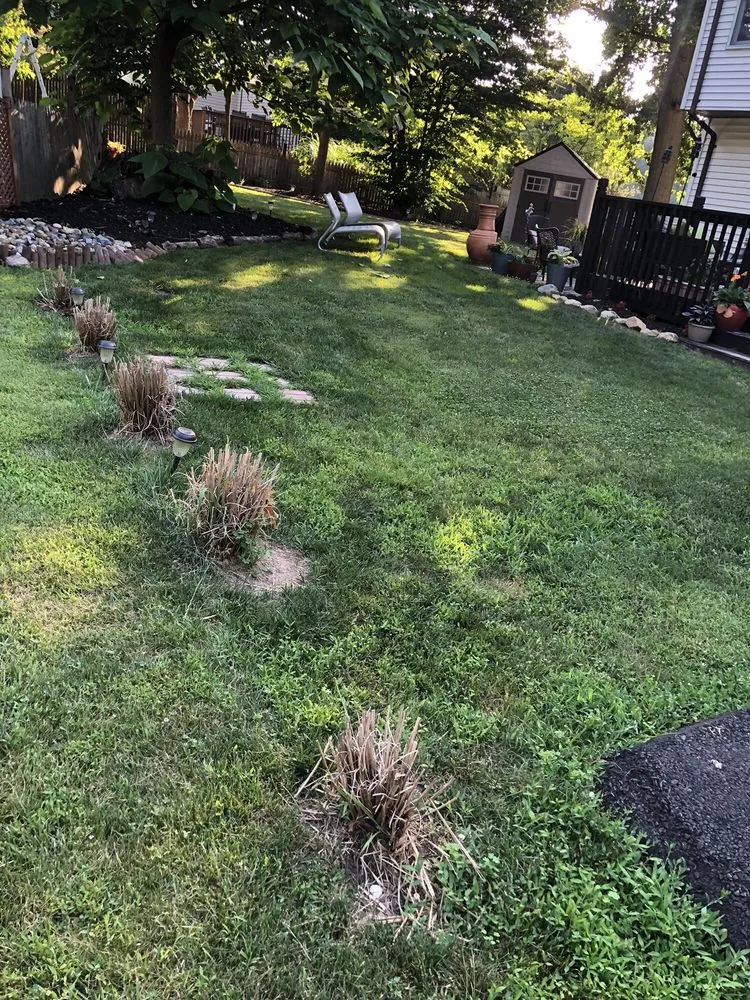 Professional yard cleanup service experts serving Flanders, NJ - Herold's Landscaping
