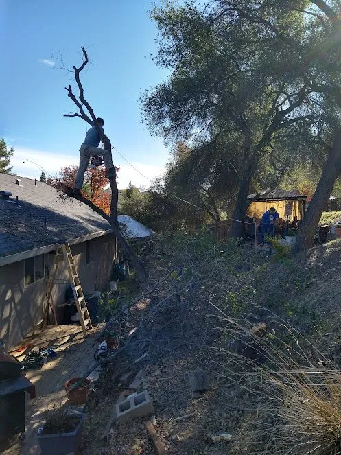 Top-rated landscape design with custom design across Boise, ID - Hero's Doodie