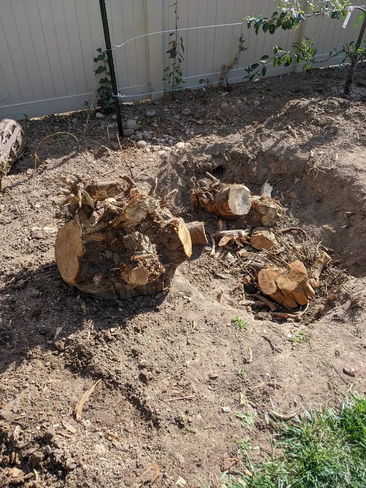 Professional landscape design in Boise, ID by Hero's Doodie