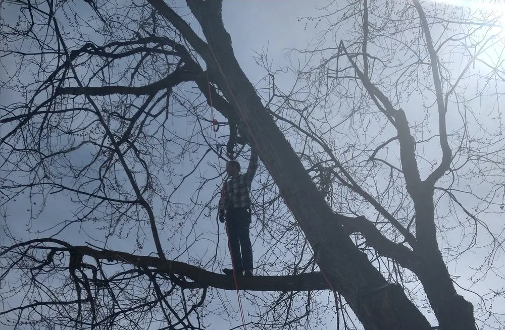 Professional lawn care service experts serving Boise, ID - Hero's Doodie