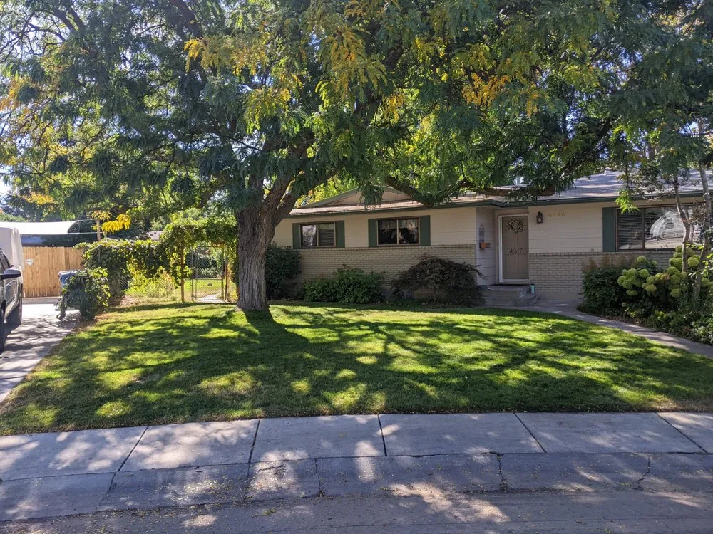 Top-rated landscape design in Boise, ID - Hero's Doodie