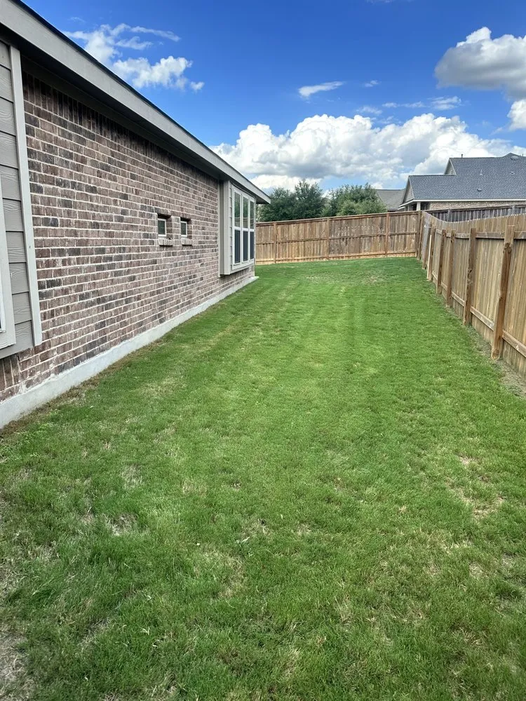 Local yard cleanup service experts serving New Braunfels, TX - Hero's Handyman & Maintenance Services