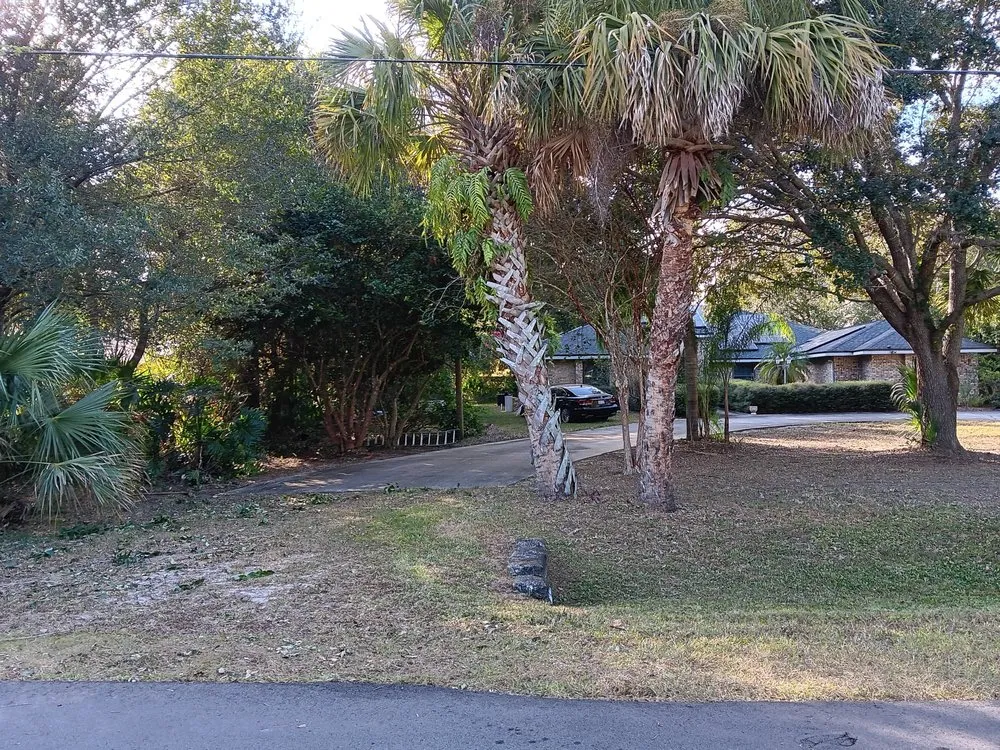 Top-rated landscaping services for beautiful yards in Cocoa, FL by Heros Landscapeing