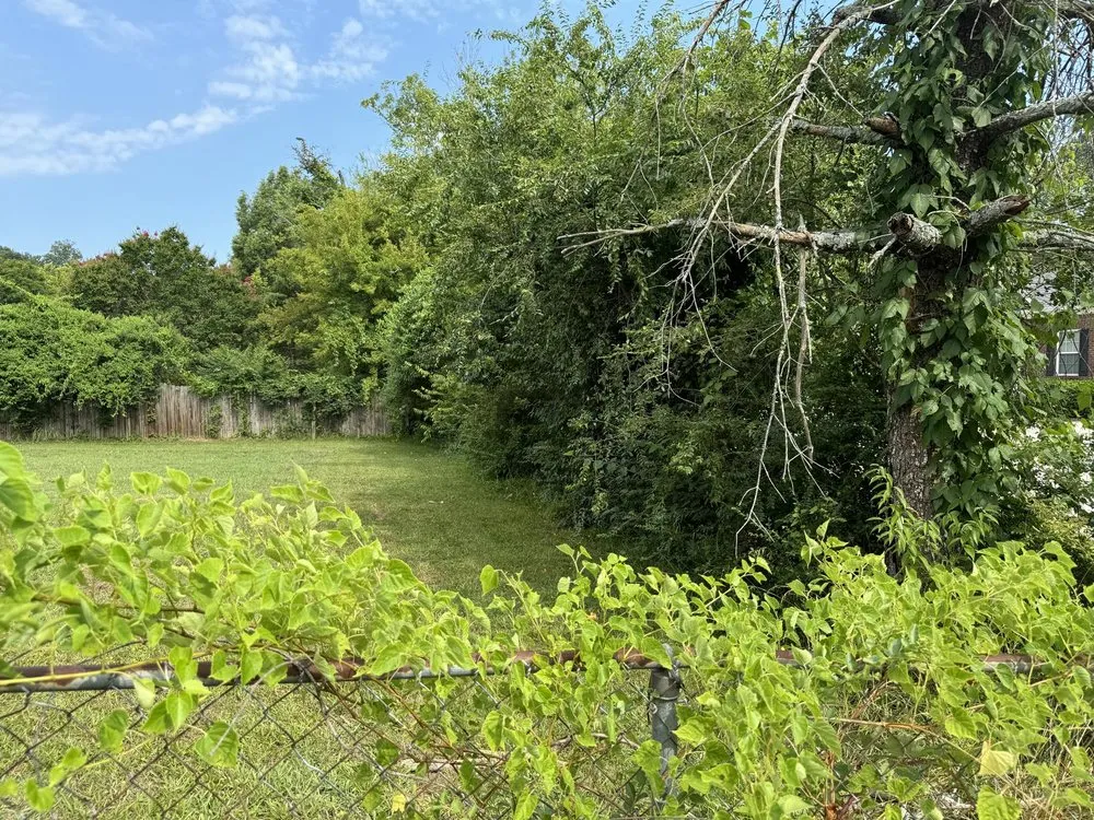 Local lawn mowing service in Ringgold, GA by Hero's Pressure Washing and Lawncare