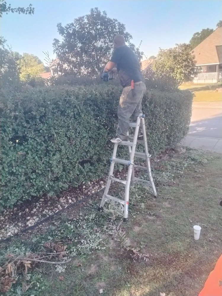 Affordable landscape installation experts serving Ringgold, GA - Hero's Pressure Washing and Lawncare