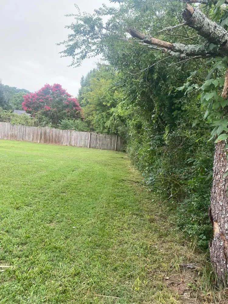 Professional residential landscaping experts serving Ringgold, GA - Hero's Pressure Washing and Lawncare