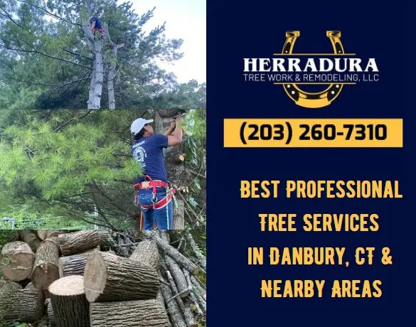 Expert residential landscaping for outdoor upgrades across Danbury, CT - Herradura Tree Work & Remodeling