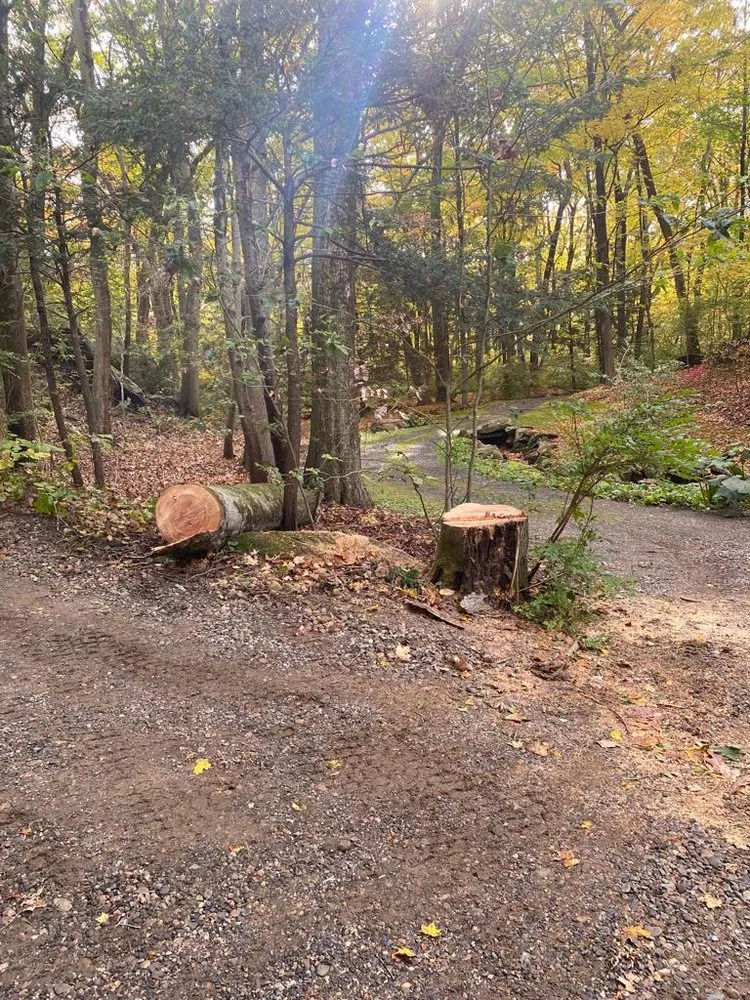 Custom lawn care service in Danbury, CT by Herradura Tree Work & Remodeling