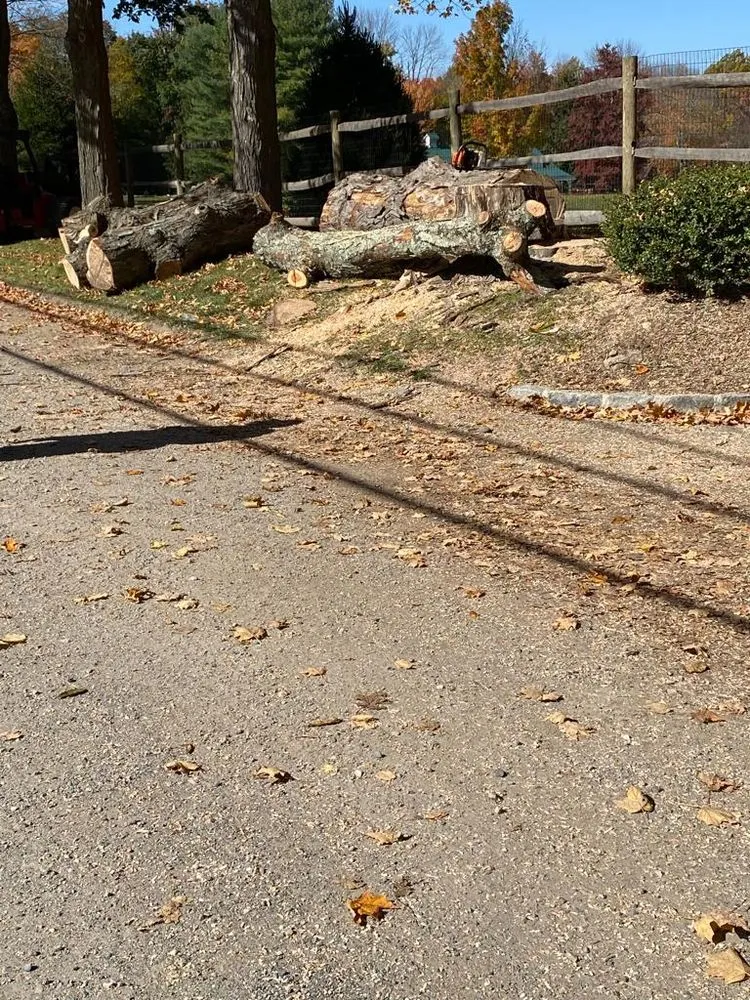 Professional residential landscaping for year-round maintenance across Danbury, CT - Herradura Tree Work & Remodeling