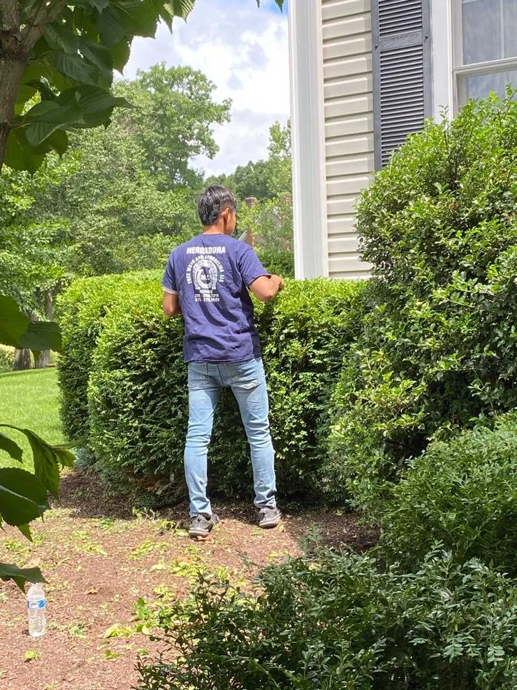 Trusted garden landscaping in Danbury, CT by Herradura Tree Work & Remodeling