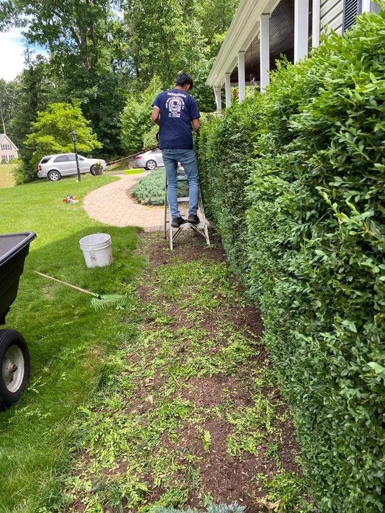 Professional lawn care service experts serving Danbury, CT - Herradura Tree Work & Remodeling
