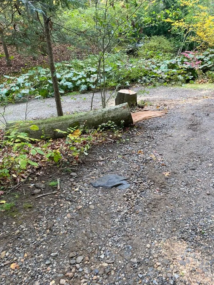 Top-rated lawn care service in Danbury, CT - Herradura Tree Work & Remodeling