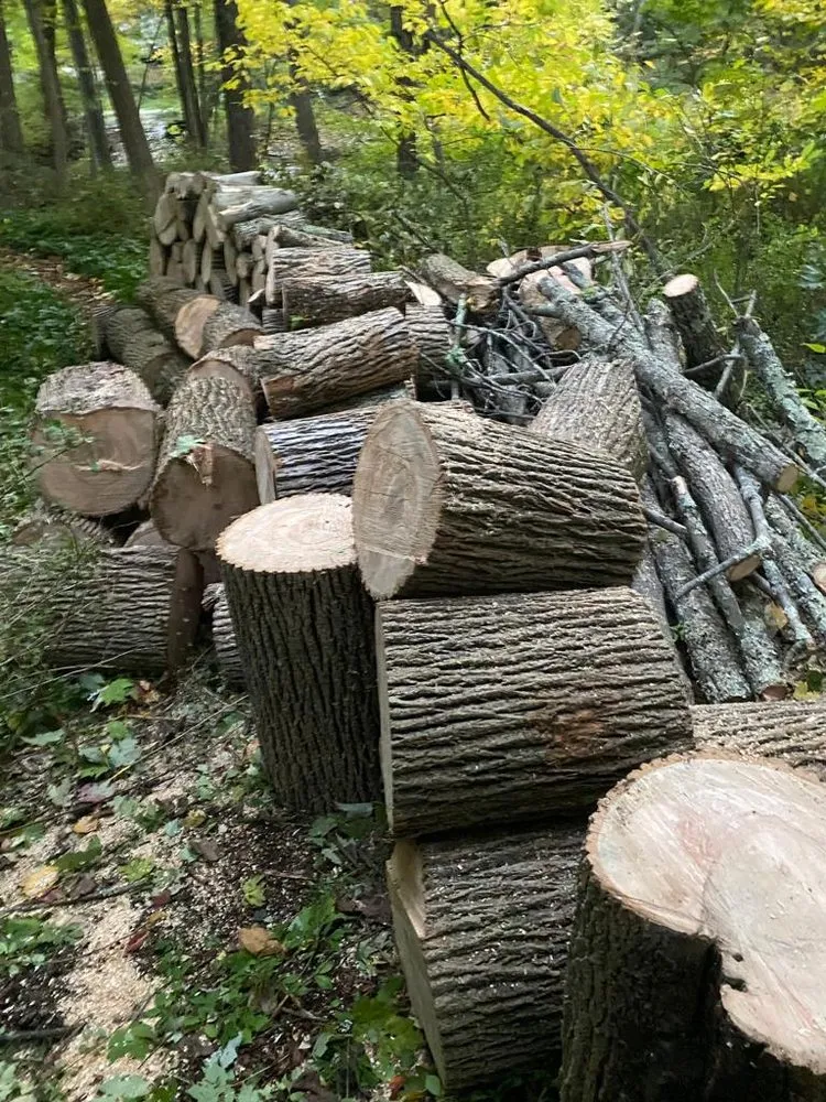 Top-rated lawn mowing service for homes in Danbury, CT by Herradura Tree Work & Remodeling