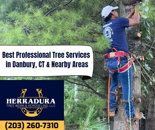 Trusted landscape installation in Danbury, CT by Herradura Tree Work & Remodeling