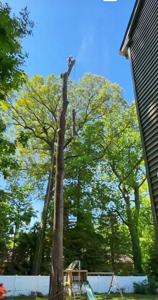 Local yard maintenance in Danbury, CT by Herradura Tree Work & Remodeling