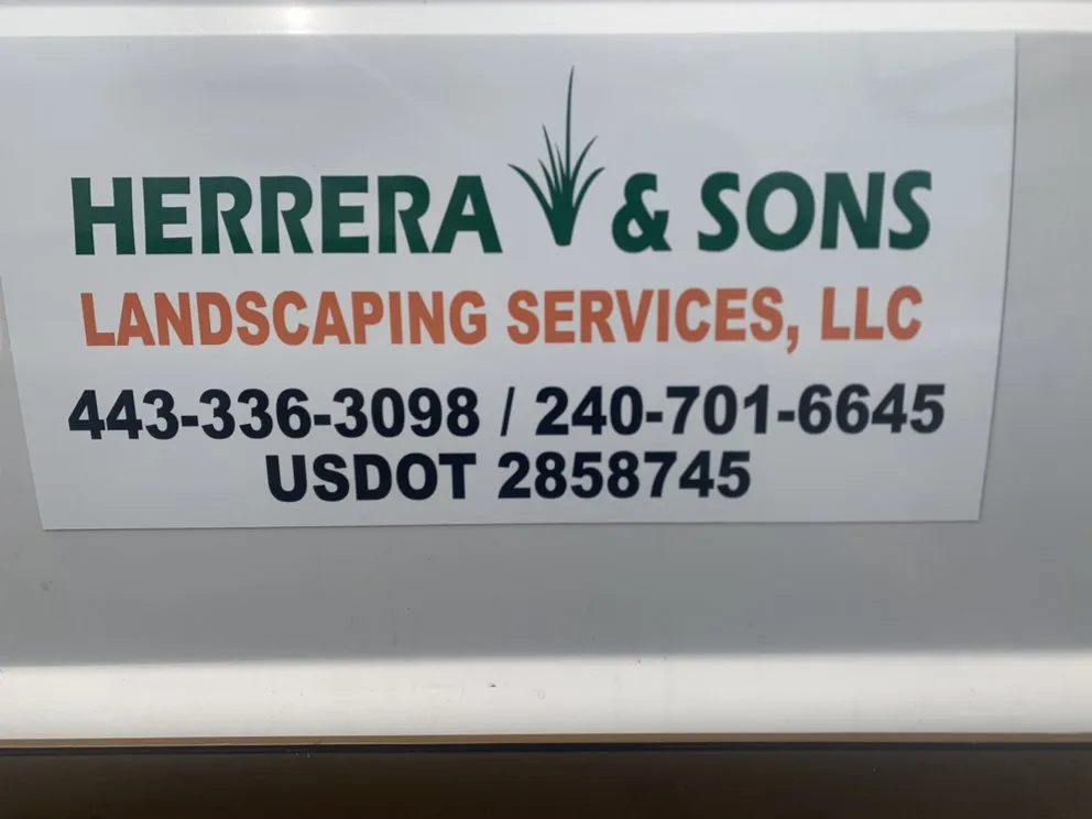 Top-rated yard cleanup service in New Carrollton, MD by Herrera & Sons Landscaping