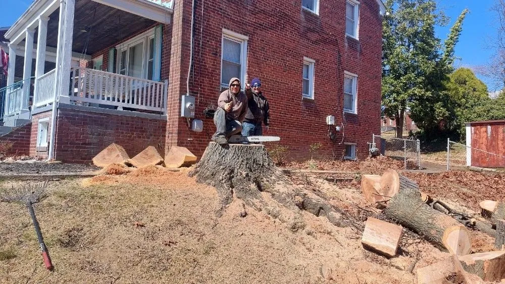 Affordable yard cleanup service for beautiful yards across New Carrollton, MD - Herrera & Sons Landscaping