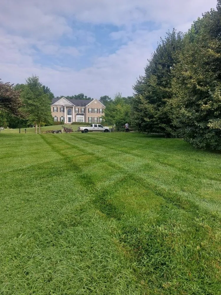 Trusted outdoor landscaping in New Carrollton, MD - Herrera & Sons Landscaping